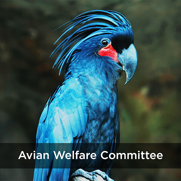 welfare committee