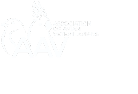 aav conference