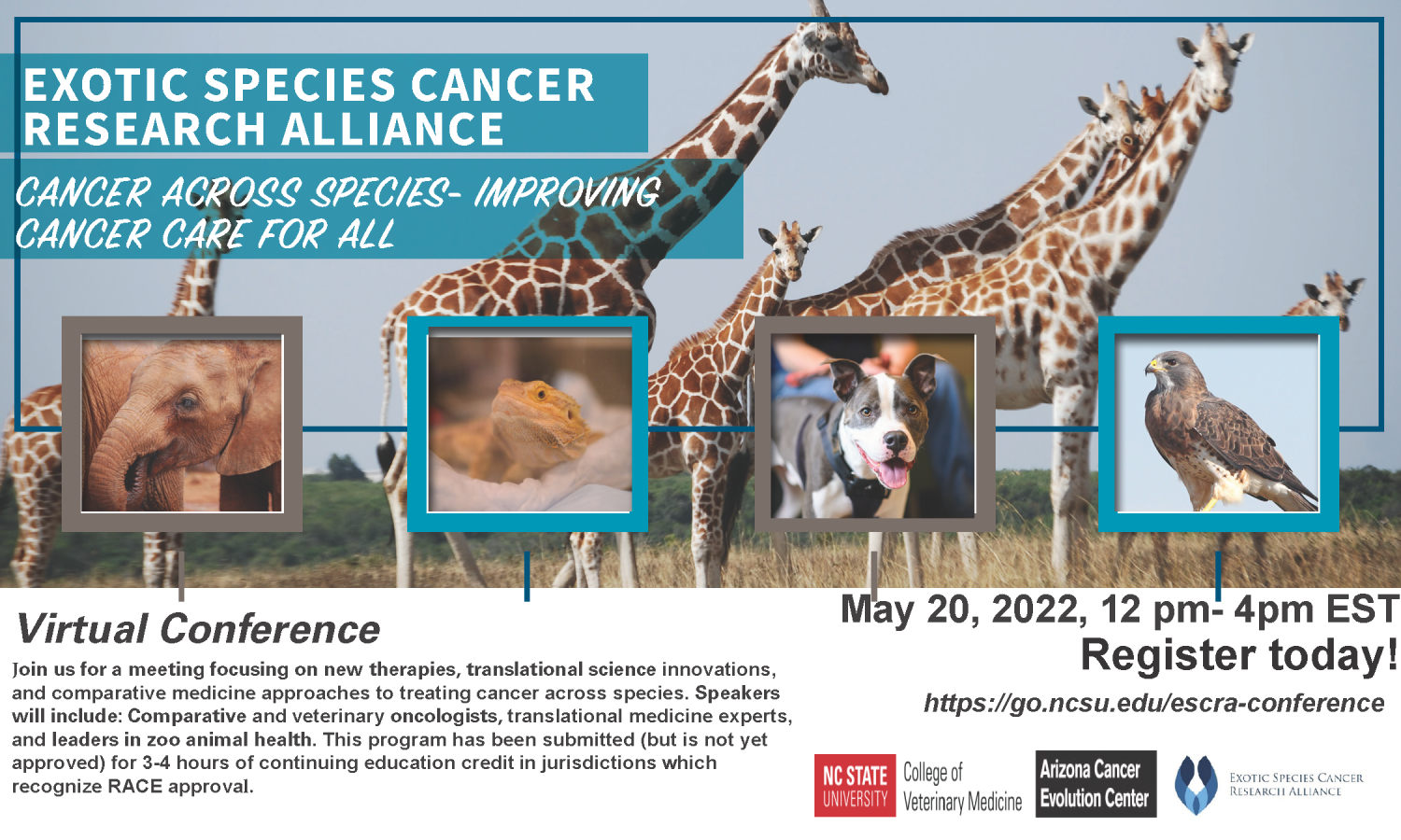 Cancer Across Species – Improving Cancer Care for All