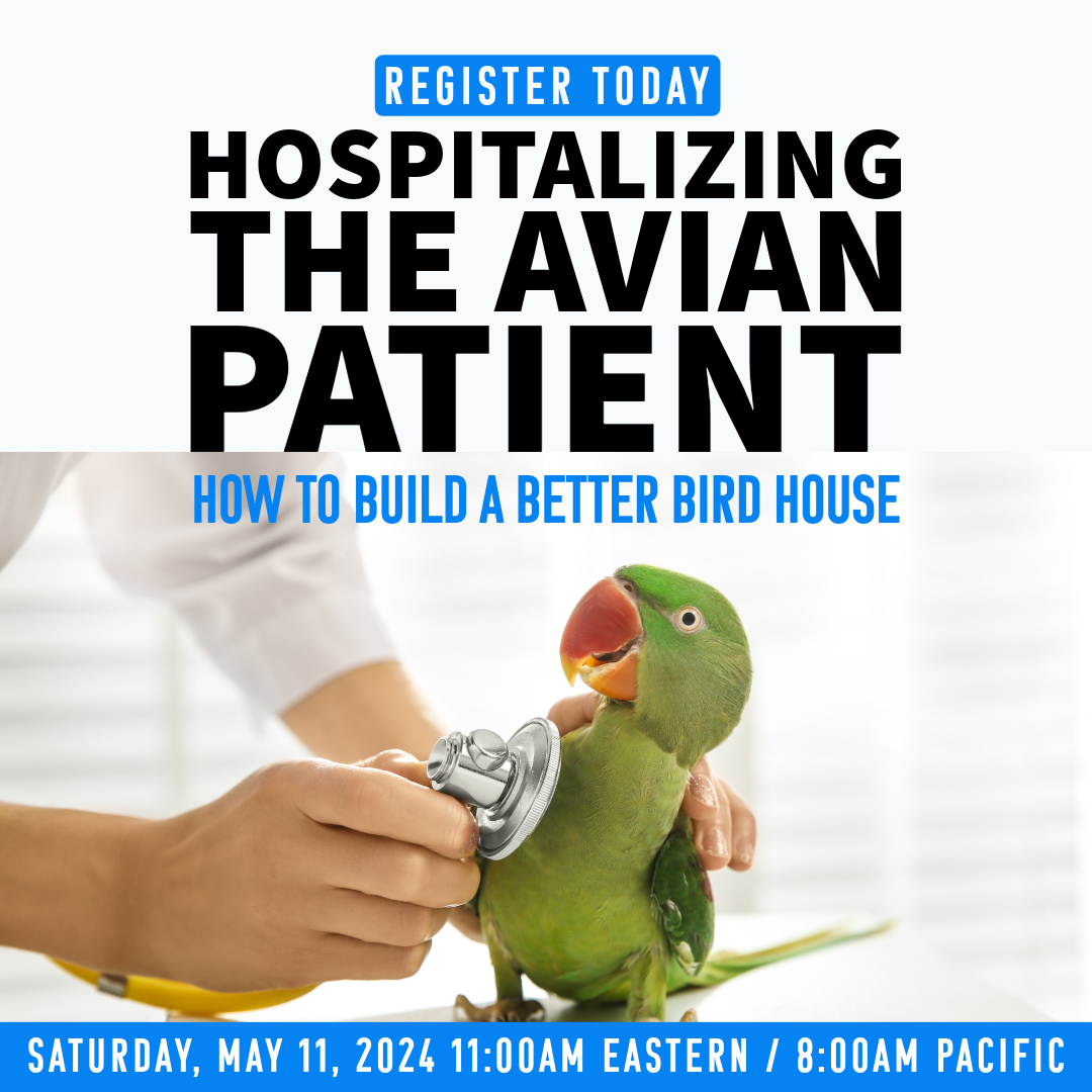 hospitalizing the avian patient webinar